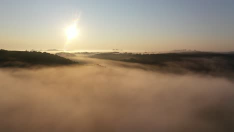 sunrise over misty forest