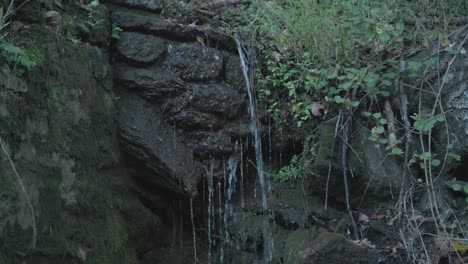 El-Agua-Gotea-Sobre-Las-Rocas-Y-El-Barro-A-Lo-Largo-Del-Arroyo-Wissahickon