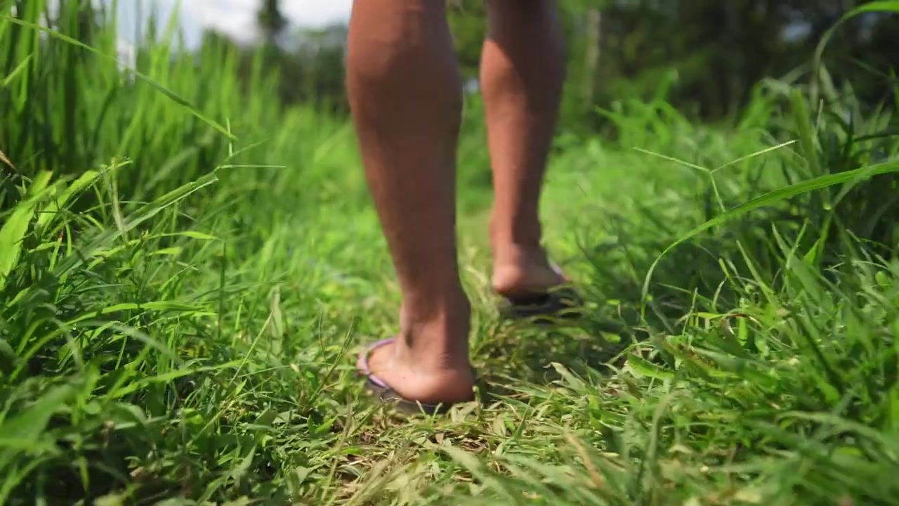Walking in Sandals Through a Rice Field, Following Forward