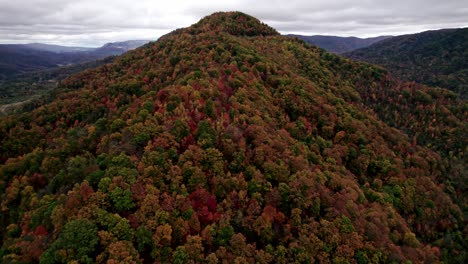 Follaje-De-Otoño-En-Las-Montañas-De-Pinos-Del-Sureste-De-Kentucky-Día-Nublado,-Muñeca-Aérea-Inversa-Inclinada-Hacia-Arriba