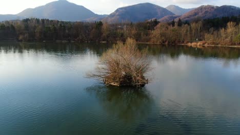 Kleine-Bauminsel-Im-Fischersee-Ribnik-Vrbje-In-Ostslowenien-In-Der-Nähe-Der-Sonnenuntergangsstunde,-Luftkreis-Um-Schuss