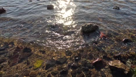 las olas golpean suavemente las rocas en la playa de brighton