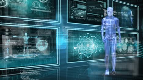 anatomía humana caminando