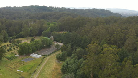 Perspectiva-Aérea-Decente-Sobre-El-Dosel-Australiano-Natural-Con-Cacatúas-Volando-En-La-Distancia