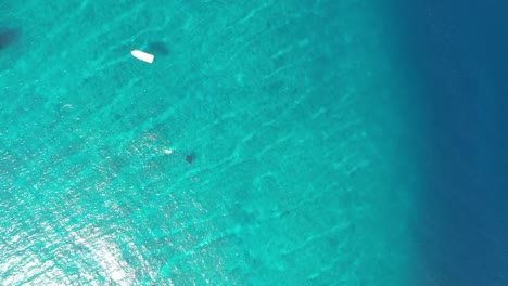 people-swimming,-snorkeling-with-manta-ray-in-blue-azure-turquoise-sea-water-of-Maldives