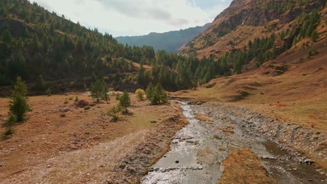 Paisaje-Montañoso-Escénico-Con-Coníferas-Verdes-Y-Corriente-De-Agua-En-Un-Día-Soleado-De-Otoño---Ascenso-De-Drones