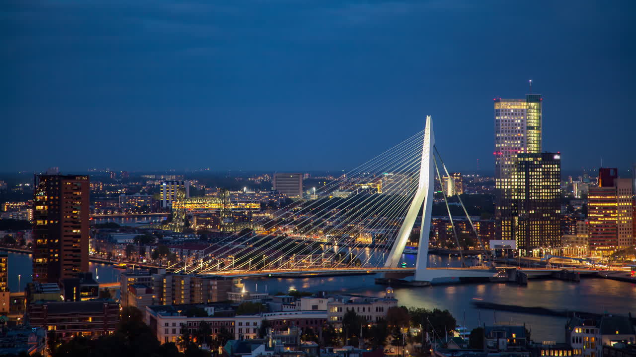 Rotterdam Skyline &amp;amp;amp; Erasmus Bridge