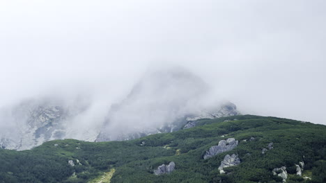 루마니아 카르파티아 산맥 레테자트 산맥에서 안개로 인 산꼭대기