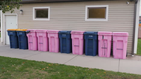 pink garbage cans mixed with blue ones stand against the wall of the house