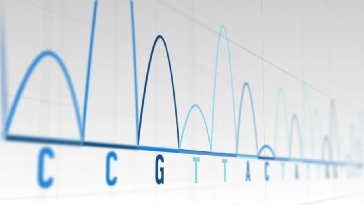 анимация графиков и статистики