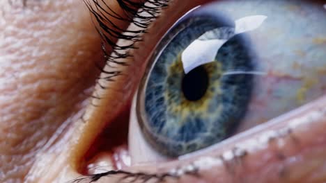close-up examination of a human eye showcasing intricate details and vibrant colors for educational purposes