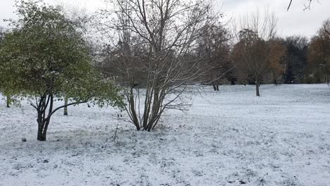 pan up on a park covered of snow berlin in wintertime in park hasenheinde hd 30 fps 11 secs