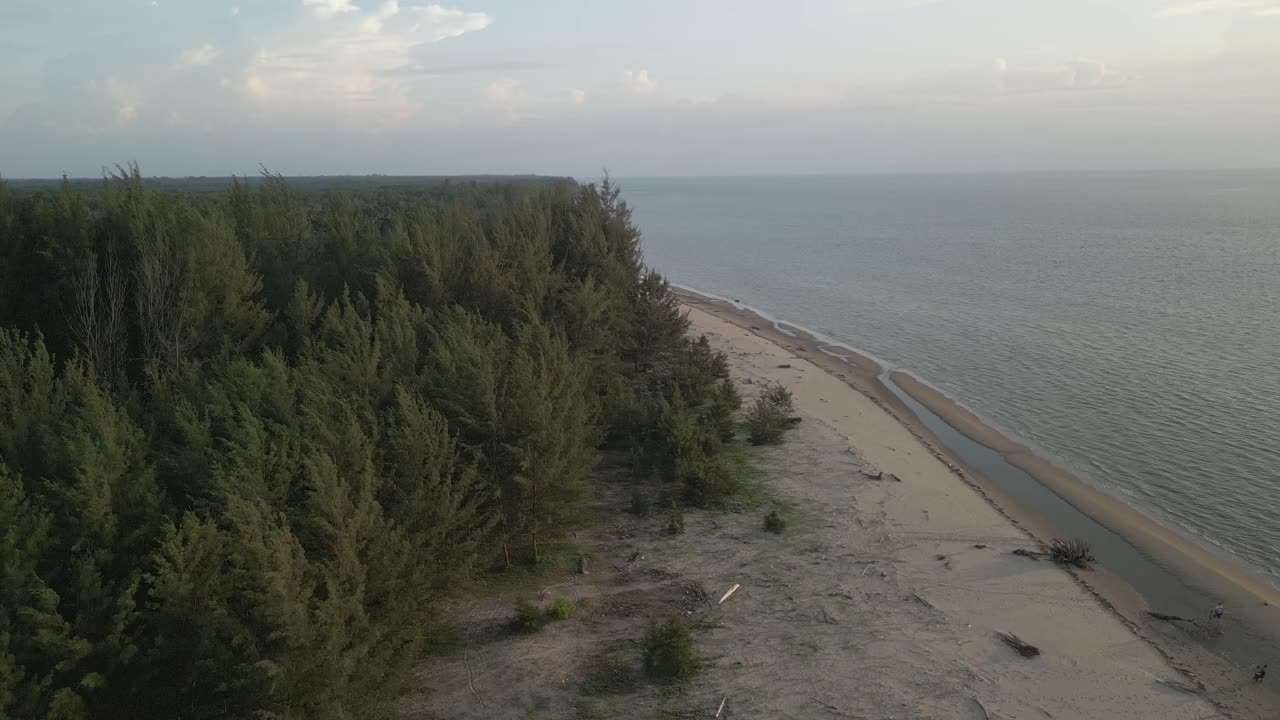Aerial Drone View During Summer Gerigat Fishing Village,Kabong With, Facing Open Blue Sea, White Sandy Beach,Green Coconut, Palm Trees,And River,Sarawak,Borneo
