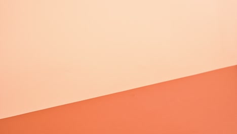 hard cover vintage book appear on deep and bright orange theme and open. stop motion flat lay