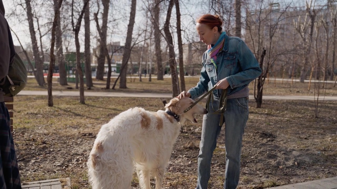 Due donne interagiscono con un cane bianco e marrone in un parco all'aperto. Una donna tiene il guinzaglio mentre entrambe si relazionano con l'animale, circondate da alberi sotto la luce del giorno. Una panchina è visibile nelle vicinanze mentre trascorrono del tempo.