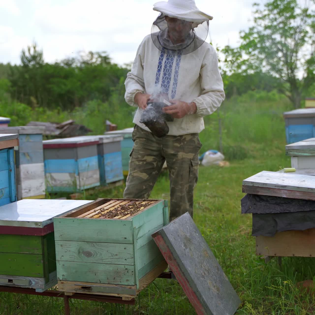 Beekeeper on apiary. Farmer is working with beehives on green nature background. Rows of wooden hives on grass. Beekeeping concept.