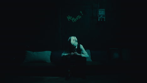 Mysterious Figure in a Rabbit Mask