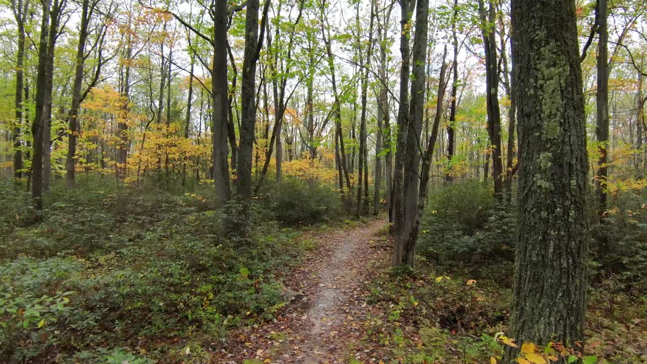 bajo fpv a través de las montañas en otoño