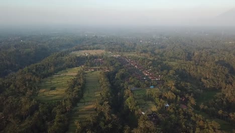 Bali-Ubud-Reisterrasse-Reisfelder-Tal-Luftlandschaft