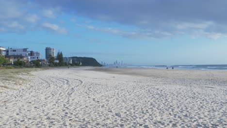 empty palm beach during pandemic coronavirus - blue sky over the white sand beach - sydney, new south wales, australia