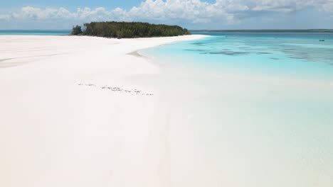 4k flying drone footage above white sandbanks coast with beautiful transparent rippled waves washing coral reefs atoll near mnemba island, tanzania