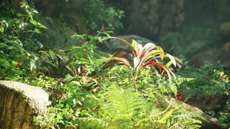 plantas tropicales exuberantes a la luz del sol