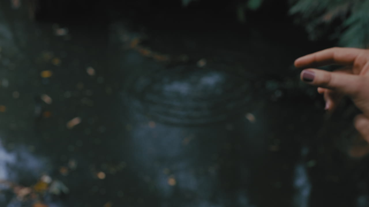 женщина, стоящая на деревянном мосту в лесу, наслаждается природой, глядя на пруд.