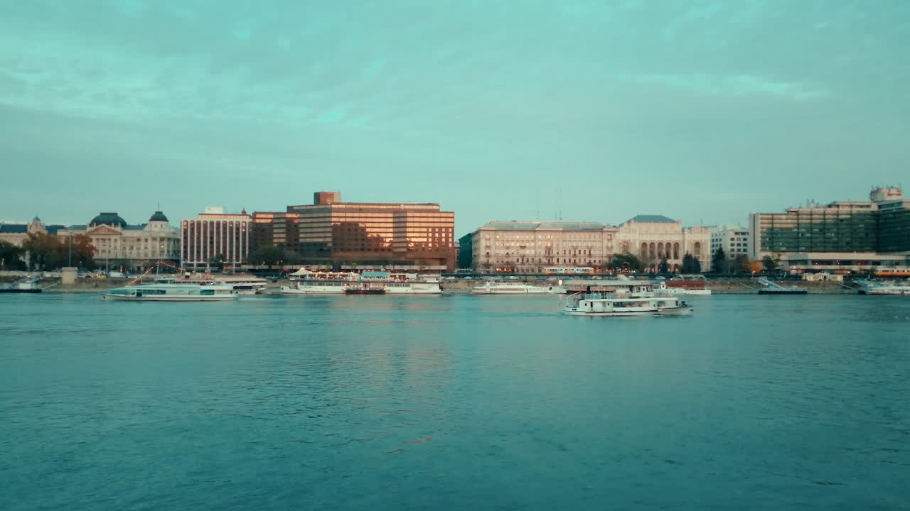 해충의 해안에서 찍은 짧은 클립 장면