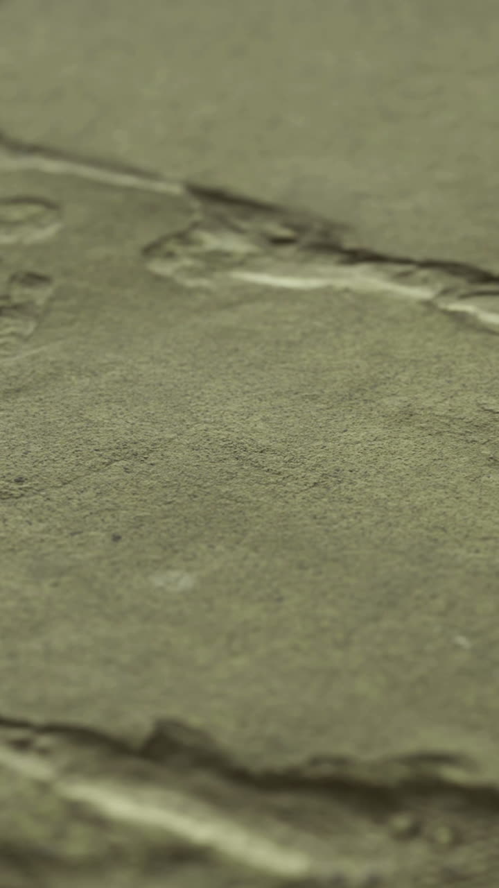 Textured surface showcasing intricate details and natural patterns