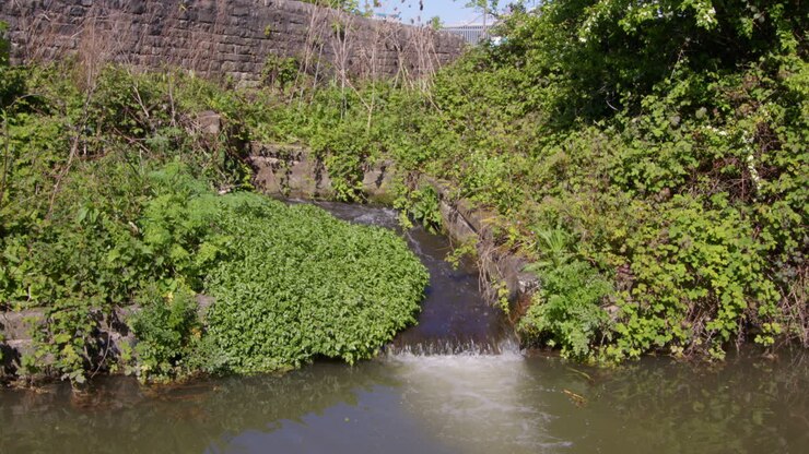 wide shot of a canal weir flowing into the Chesterfield Canal at Stret lock