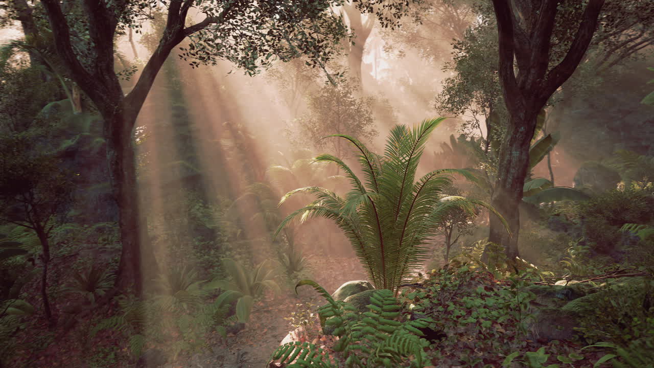 Sunlight filters through the lush forest canopy on a serene tropical morning