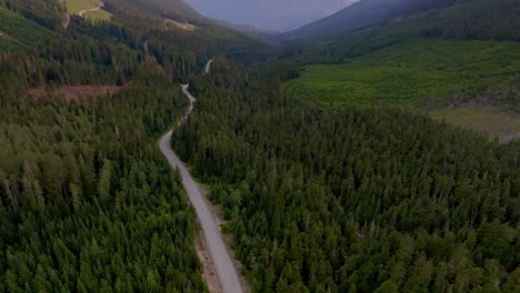 Carretera-Entre-El-Paisaje-Boscoso-Con-Vistas-A-Las-Montañas-Nevadas-Cerca