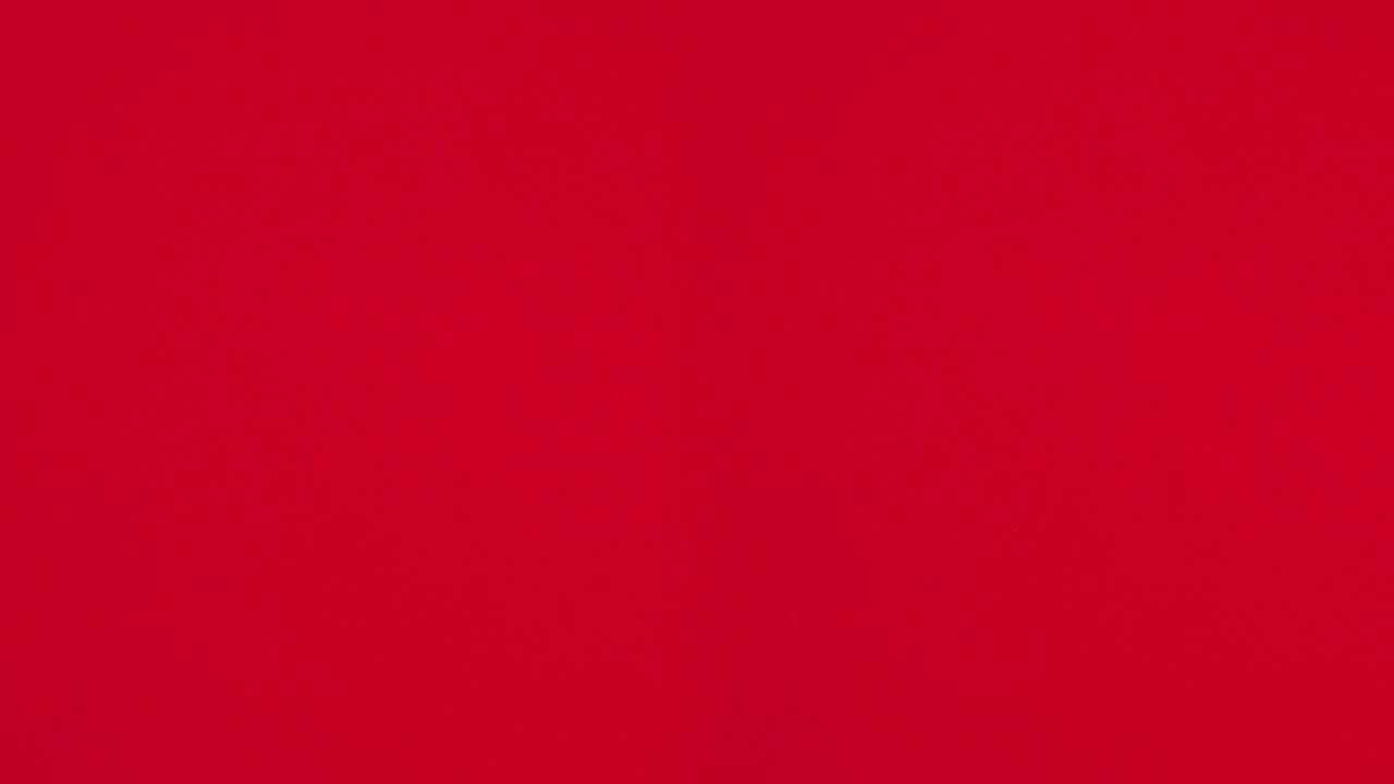 빨간색 테마에 다른 장식으로 두 개의 크리스마스 트리를 만드는 것.