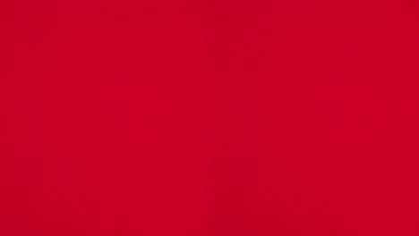 haciendo dos árboles de navidad con diferentes adornos en tema rojo. detenga el movimiento