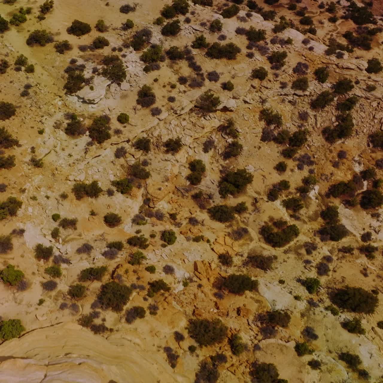 Unusual shapes of rocks and landscape. Sunny sandstones of Utah covered with little green bushes. Aerial view