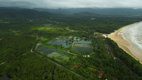 Aerial-view-over-big-shrimp-farm-in-Khao-Lak-on-coastline,-Thailand-aquaculture