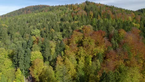 Toma-Aérea-Sobre-El-Bosque-De-Montaña-De-Otoño-Durante-La-Temporada-De-Otoño.