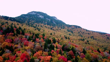 Hojas-De-Otoño-En-La-Montaña-Del-Abuelo-Nc,-Montaña-Del-Abuelo-Carolina-Del-Norte-En-4k