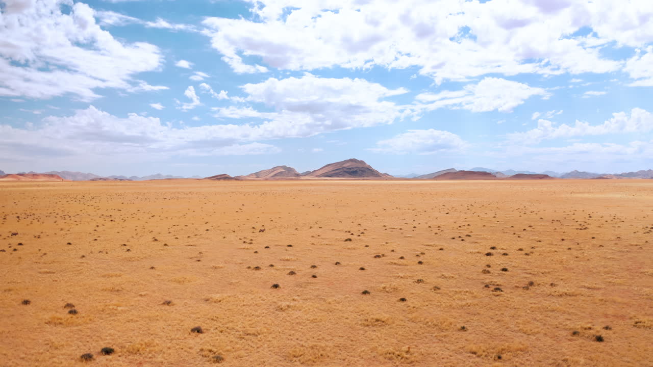 Panoramic Aerial View of a Dry Desert Landscape