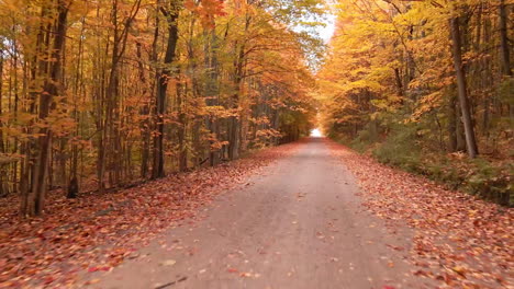 rolando imagens suaves por uma estrada de outono