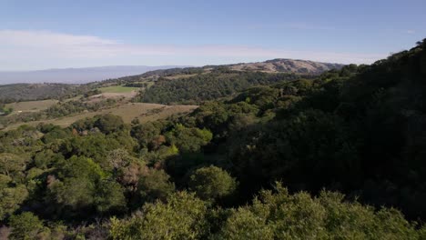 El-Dron-Avanza-Mientras-Gira-A-La-Izquierda-A-Través-De-Las-Ondulantes-Colinas-Del-Norte-De-California-Durante-La-Hora-Dorada