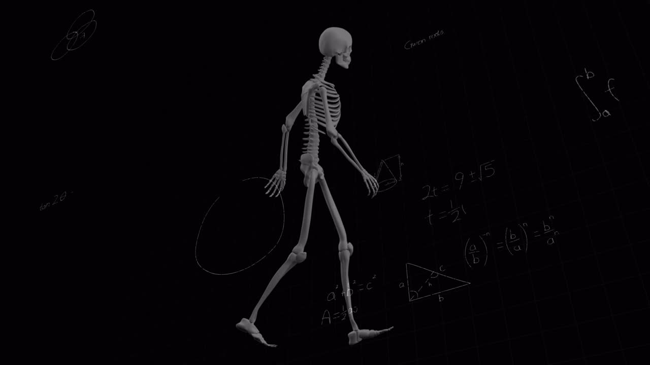 animación de ecuaciones matemáticas sobre el esqueleto