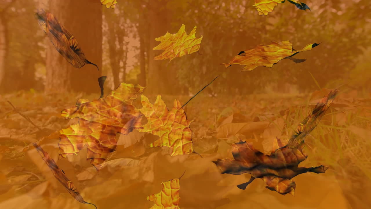 Falling autumn leaves animation over forest floor covered with dry leaves