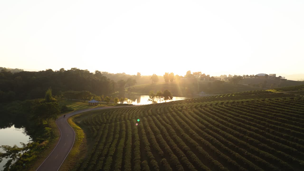 Motocicletta in strada presso la piantagione di tè Choui Fong, Chiang Rai al tramonto.