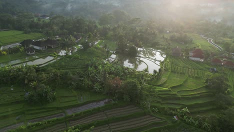 a breathtaking sunrise in the east of bali during the summer with rice terraces and lush green trees, aerial