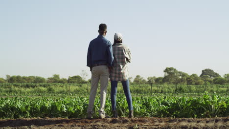 we've really done a great job on this farm babe