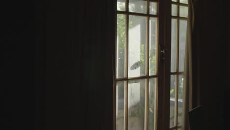 앞방 창문의 어두운 변덕스러운 샷