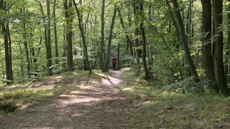 Hombre-Caucásico-Caminando-Solo-En-El-Bosque-Con-Camisa-A-Cuadros-Y-Mochila