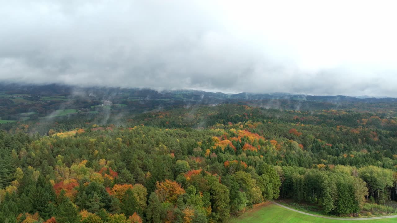niebla sobre el bosque de otoño en el campo - toma aérea de un avión no tripulado