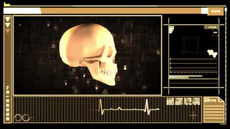 animation of human skull and data processing over screen